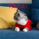 简么么