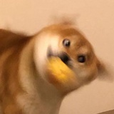 二百七