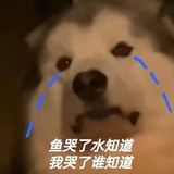 翻天娃