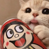 椰懿！