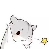 蘑菇菌
