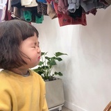 凉阵阵