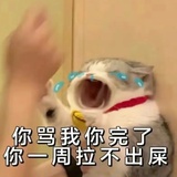 瓜皮子