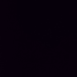 小白