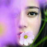 菱歌