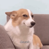 随便磕磕