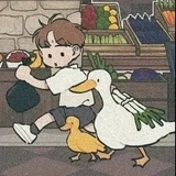 波波波妞