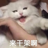 九重葛