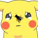矢志