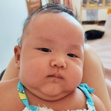 小鱼墩墩
