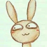 秋秋