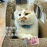 不可说