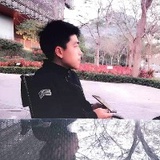 纪家小阳