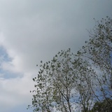 莫名