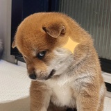 啊哈