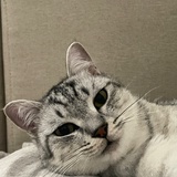 风雨不动