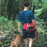 若夫