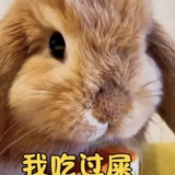 氓鉴