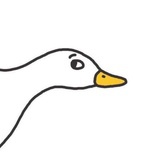 DSB