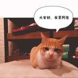夏芽