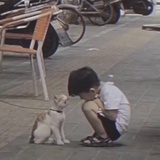 终相见