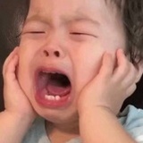 波尔拉按--