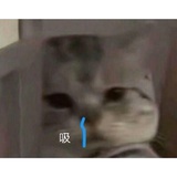 情非得已