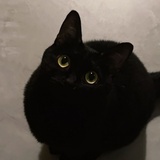 小虾大蟹