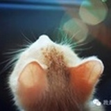 胖MM一枚