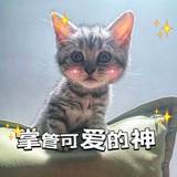 艾格塔特