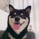 你是谁