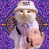 小黑（嘿嘿嘿）