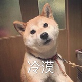 小包子