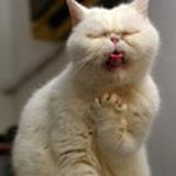 日行二十英里