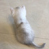 每天都重生