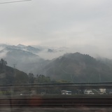 柠檬茶神教