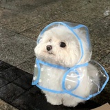青草浅未央