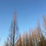 天凉好个秋