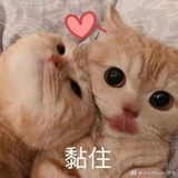 桃之夭夭1788