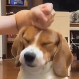 三色同刻