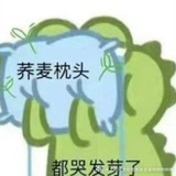 爪爪乖乖