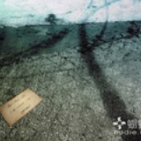 还没想好呢