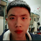 会飞的鱼