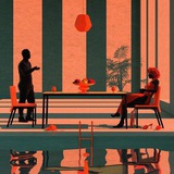 龟背竹仙