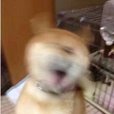 狗剩是你吗？