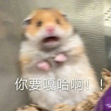 非呀