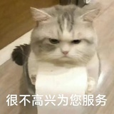 多肉红西柚