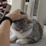 哈哈哈哈