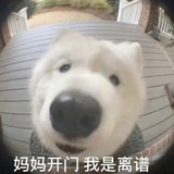 开葡乐
