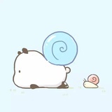 yoyo